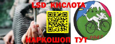 прущие грибы Апрелевка