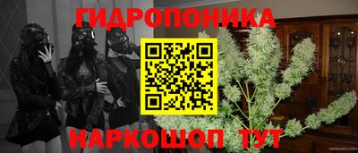 jwh Апшеронск