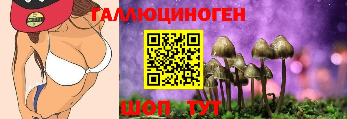 Галлюциногенные грибы прущие грибы Борзя